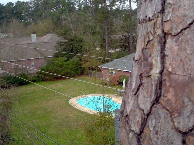 View from the climbing line over a back yard swimming pool