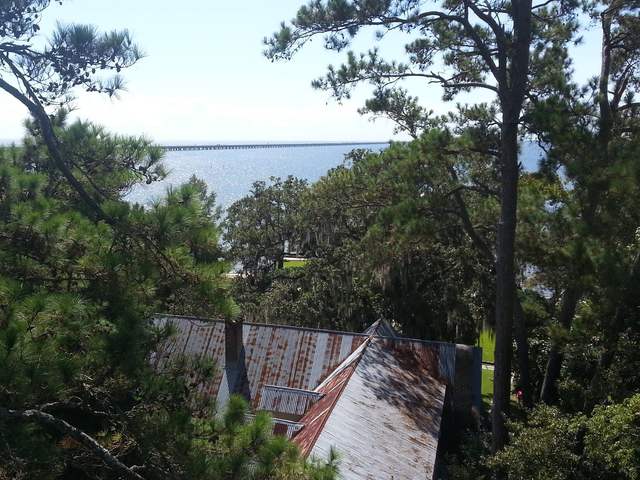 Pine canopy over a lakefront roof in St. Tammany Parish