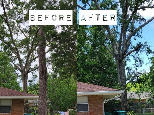 Before and after a pine removal at the corner of a Slidell home