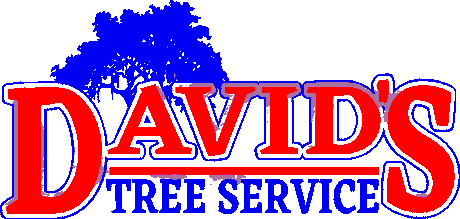 David's Tree Service logo, a live oak over the company name